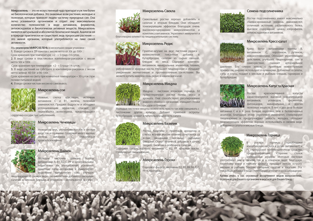Микрозелень бизнес план